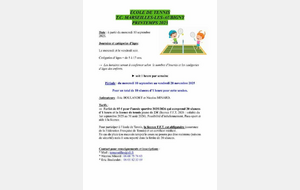 68be79705bb1c_RENTREETENNISMARSEILLESLESAUBIGNY.jpg